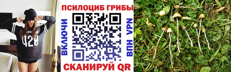 Псилоцибиновые грибы MAGIC MUSHROOMS Томари